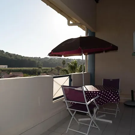 Deux Pieces Au Lavandou Avec Terrasse Spacieuse Et Parking - Fr-1-803-21 公寓 勒拉旺杜